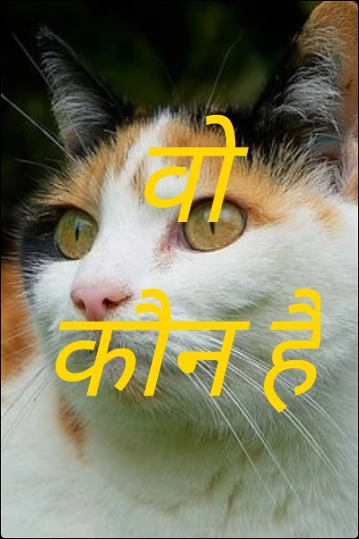 वो कौन है
