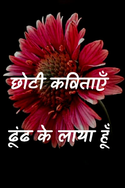 छोटी कविताएँ  ढूंढ के लाया हूँ