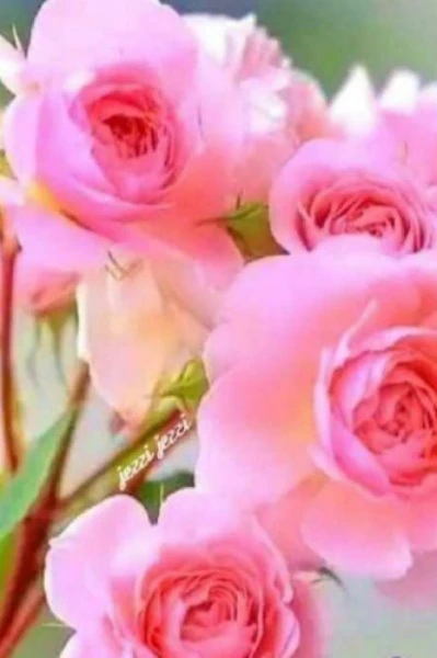 தினசரி தலைப்புகள்-- உழைக்கும் கரங்கள்.‌