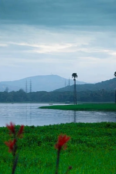 ಪ್ರತಿ ದಿನದ ಚುಟುಕು,ಚಟಾಕಿಗಳು