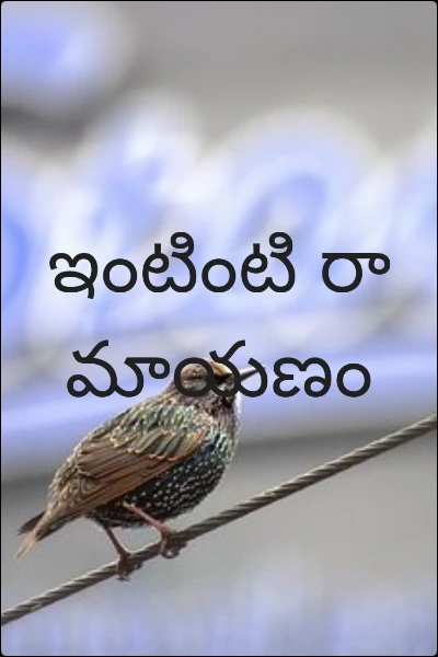 ఇంటింటి రామాయణం