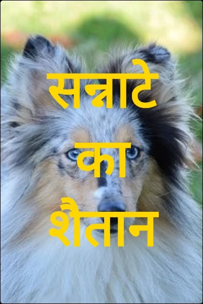 सन्नाटे का शैतान