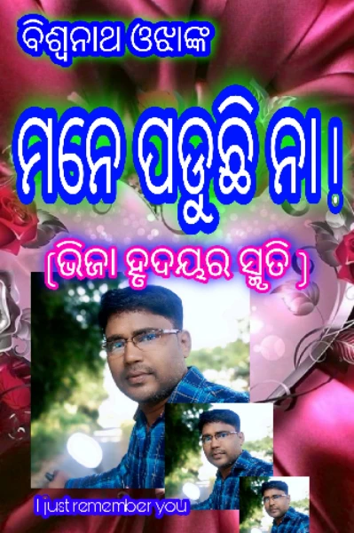 ଭିଜା ଅପରାହ୍ନ