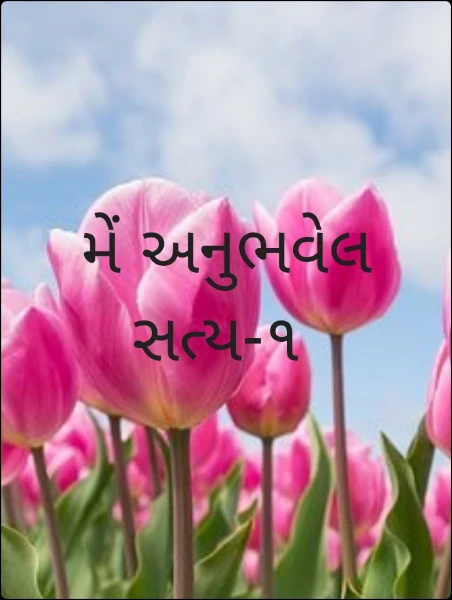 મેં અનુભવેલ સત્ય-૧