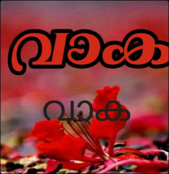 വാക