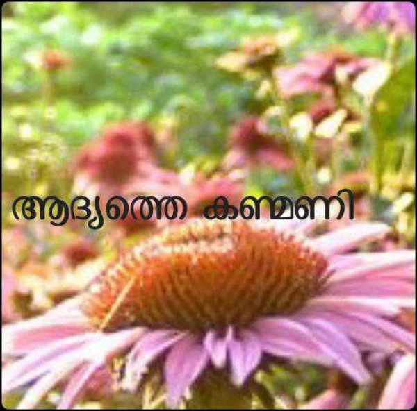 ആദ്യത്തെ കണ്മണി