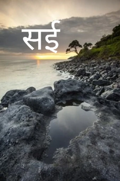 सई  भाग - 1