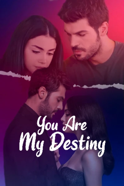 YOU ARE MY DESTINY🎭
