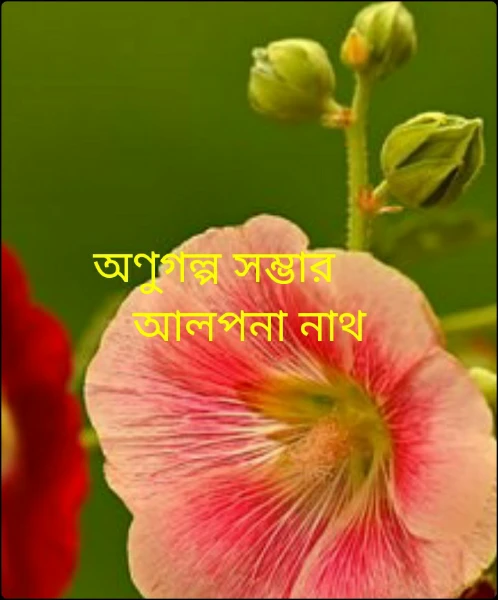 অণুগল্প সম্ভার      
(ক্রমশঃ)
আলপনা নাথ