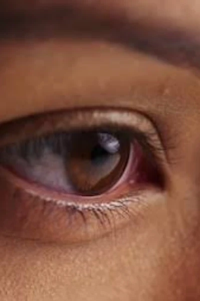 জিজ্ঞাসা