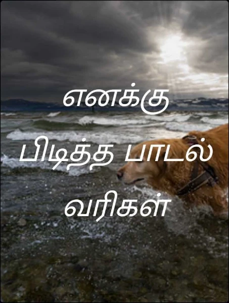 எனக்கு பிடித்த பாடல் வரிகள்