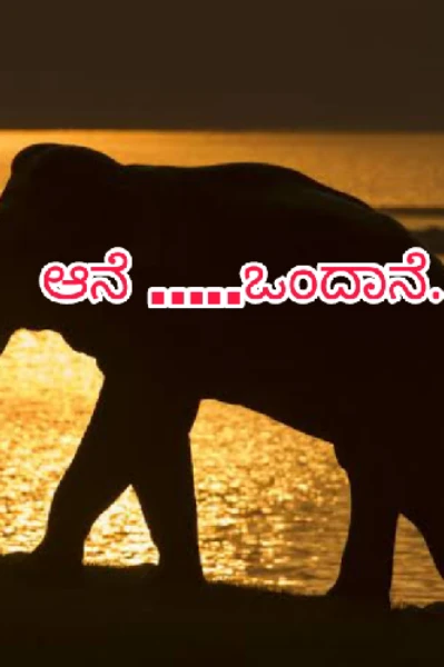 " ಆನೆ.....ಒಂದಾನೆ..( ಭಾಗ ೧)
