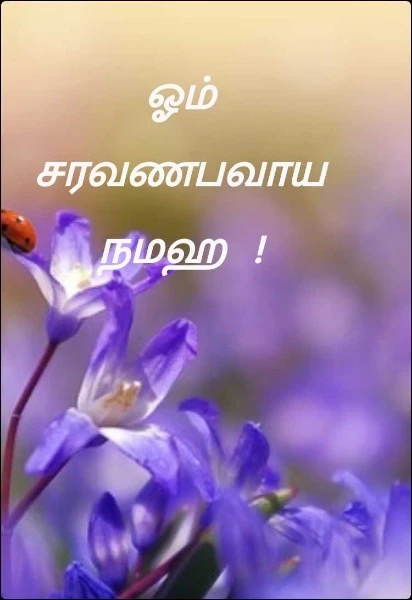 ஓம் சரவணபவாய நமஹ  !
