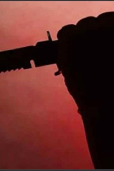 हू किल्ड मिस्टर दीवान
( Who killed Mr Diwaan )