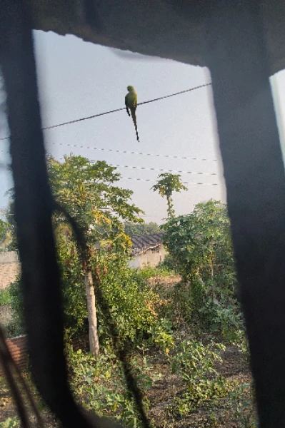 ટુંકુ.   "થોડામા ધણું.   "