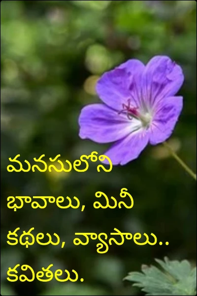 మనసులోని భావాలు, మినీ కథలు, వ్యాసాలు.. కవితలు.