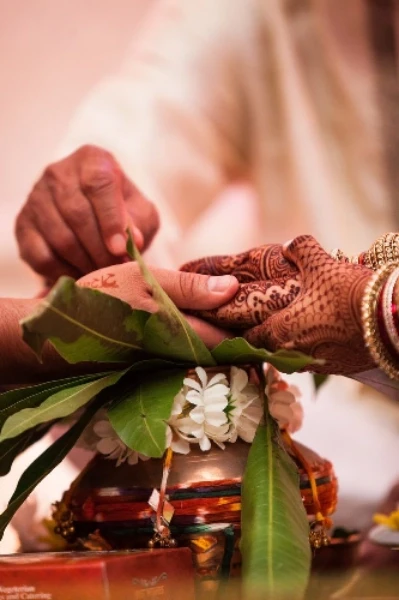 ಬಂಧನ ಅಪ್ಡೇಟ್ಸ್