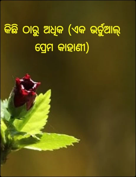 କିଛି ଠାରୁ ଅଧିକ (ଏକ ଭର୍ଚୁଆଲ୍ ପ୍ରେମ କାହାଣୀ)