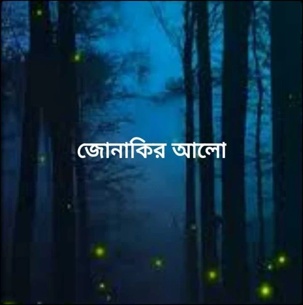 জোনাকির আলো