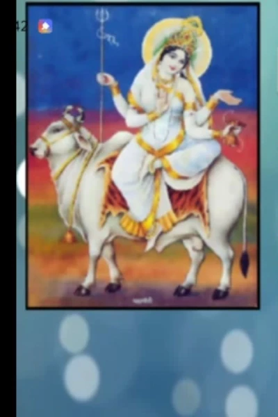 బదలు కోసం చూసే బాటసారి . . .