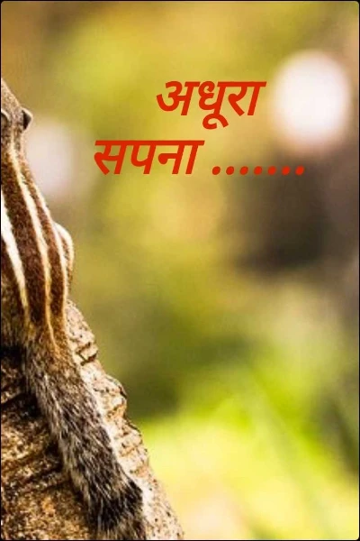 अधूरा सपना .......