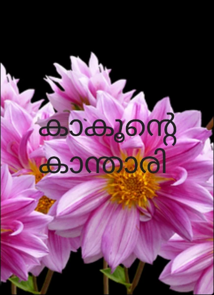 ❤️കാകൂന്റെ കാന്താരി❤️