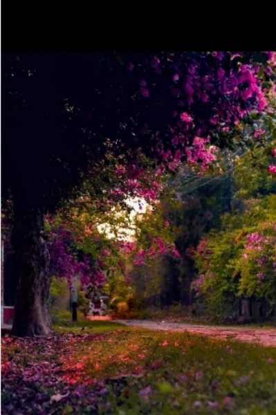 প্রনয়িনী