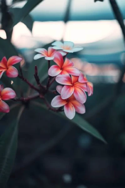 आयुष्यावर बोलू काही.. 🥰