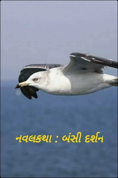 નવલકથા : બંસી દર્શન