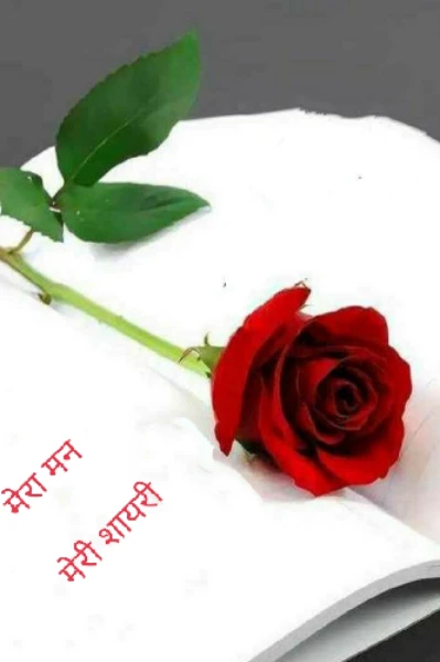 मेरा मन   - मेरी शायरी