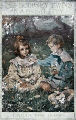 The Bobbsey Twins in a Great City