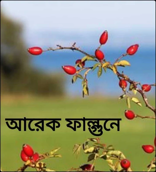 আরেক ফাল্গুনে