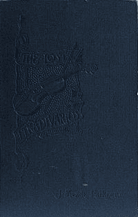 The Lost Stradivarius