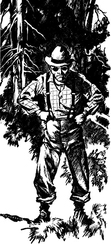 Trees Are Where You Find Them