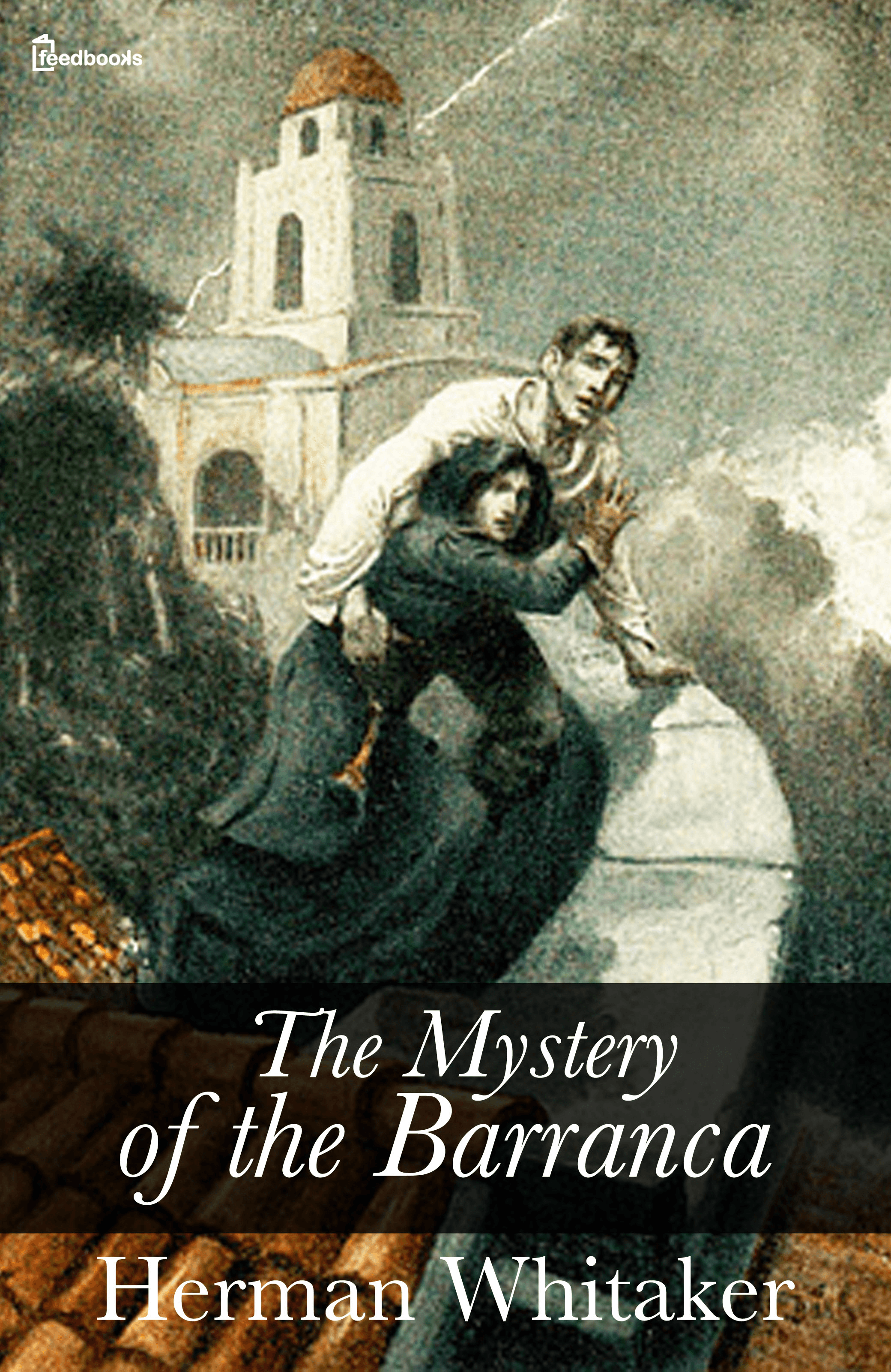 The Mystery of the Barranca - An online English story written by Herman ...