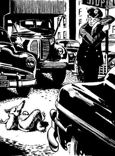 Black Eyes and the Daily Grind