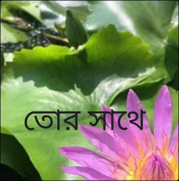 তোর সাথে