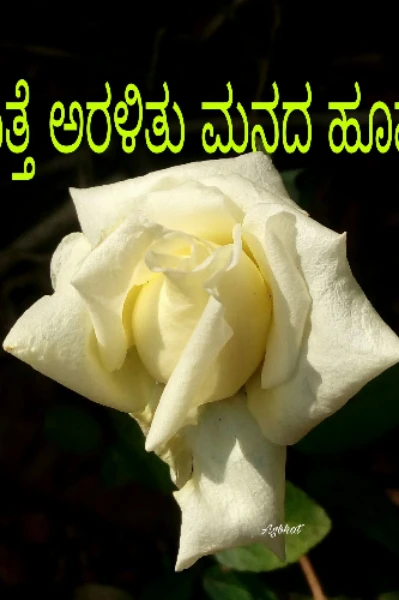 ಮತ್ತೆ ಅರಳಿತು ಮನದ ಹೂವು     ಭಾಗ - ೧