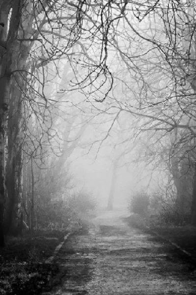 Ghost story's