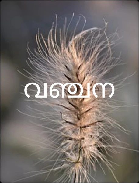 വഞ്ചന ( ഭാഗം 1)