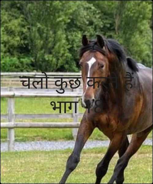 चलो कुछ करते हैं भाग 18