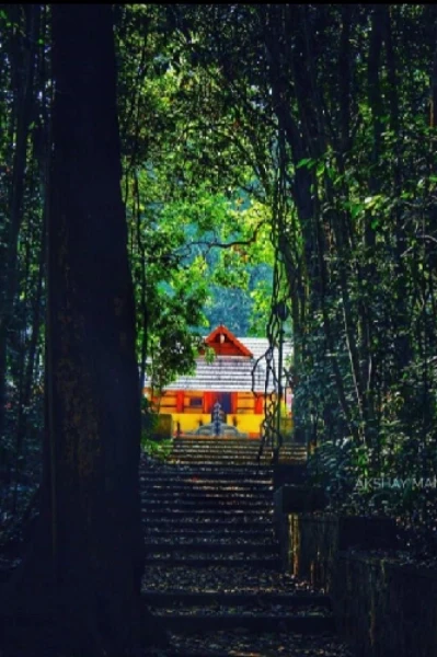 വസുദേവം     🍁