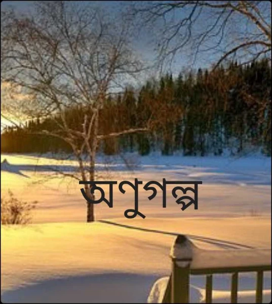অণুগল্প