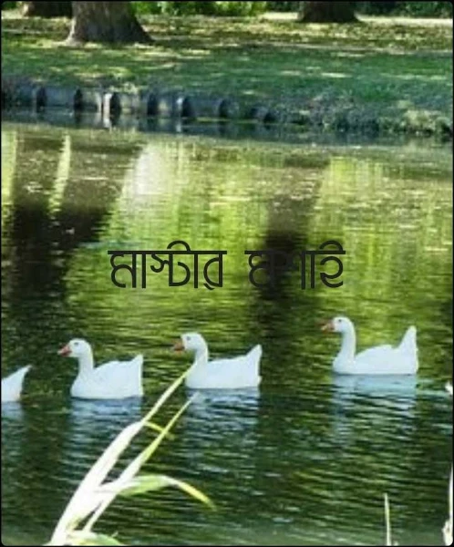 মাস্টার মশাই