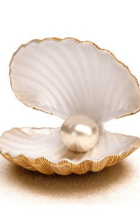 சிப்பிக்குள் தப்பிய முத்து