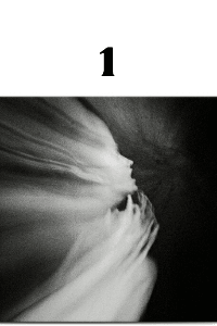 നന്ദിനി