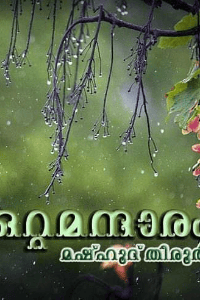 ഒറ്റമന്ദാരം