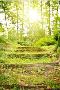 വിഷ്ണുഗംഗ