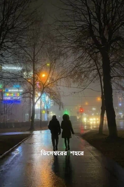......🍁🍁🍁ডিসেম্বরের শহরে 🍁🍁🍁......