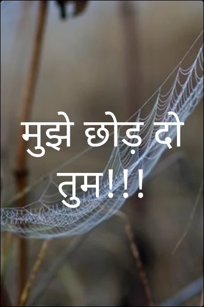मुझे छोड़ दो तुम!!!